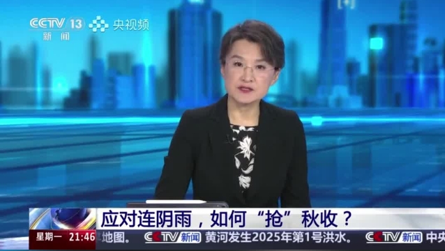 【主流媒體看周口】面對連陰雨 如何“搶”秋收？